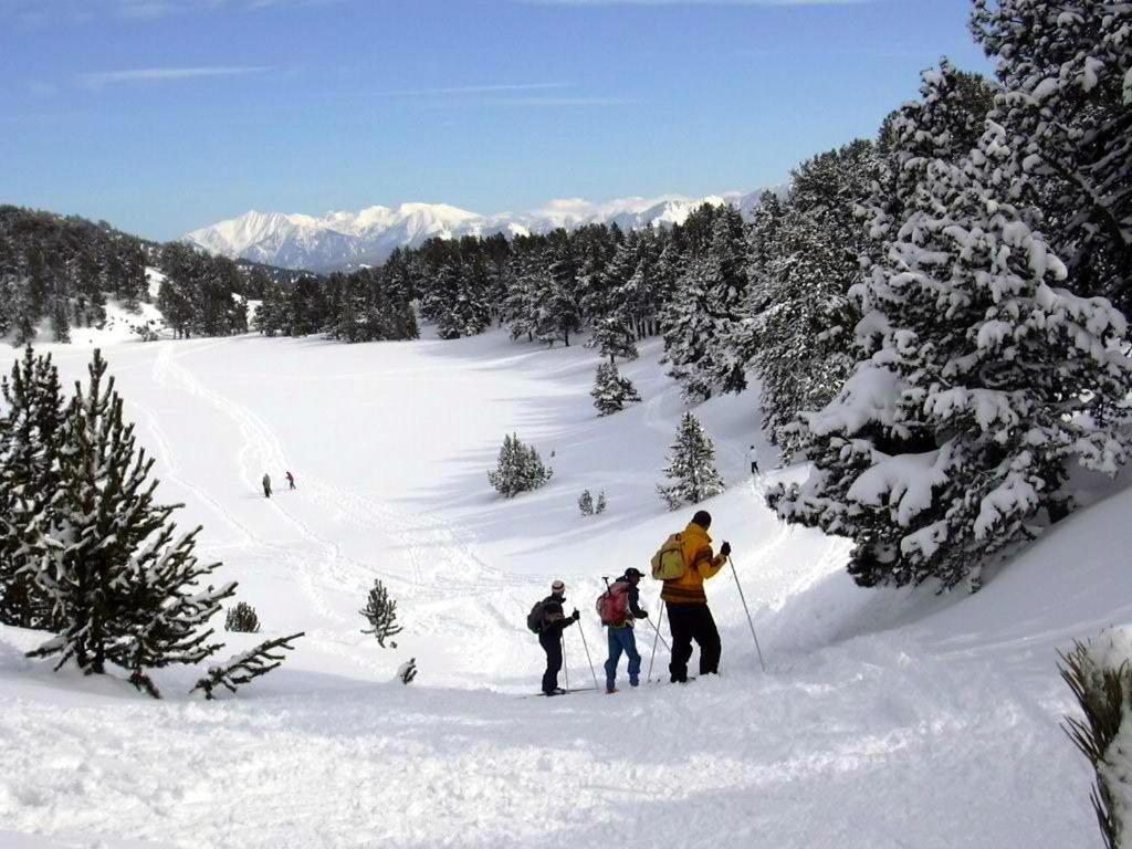 Le Chalet Du Ticou Bolquere Ngoại thất bức ảnh