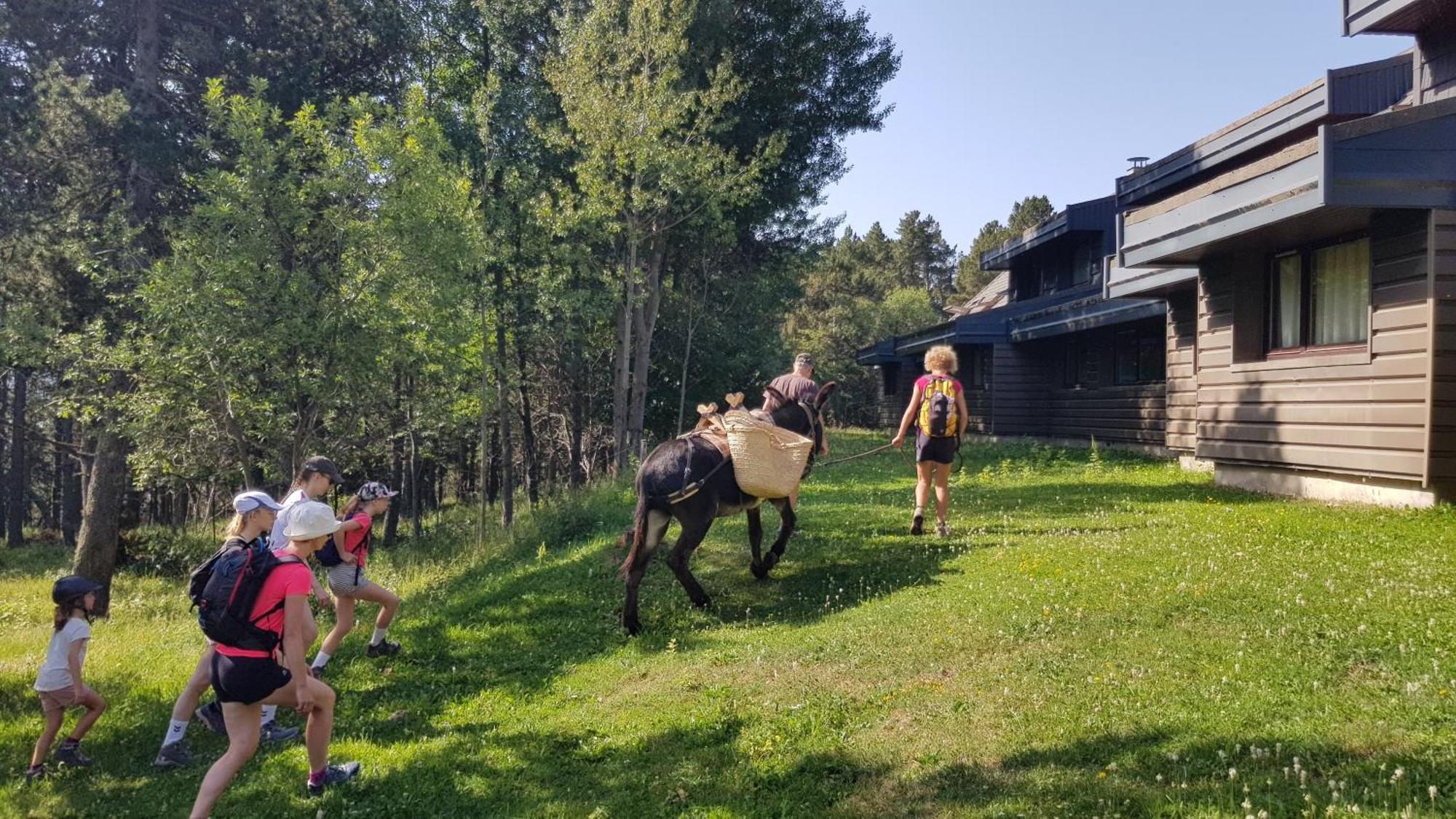 Le Chalet Du Ticou Bolquere Ngoại thất bức ảnh